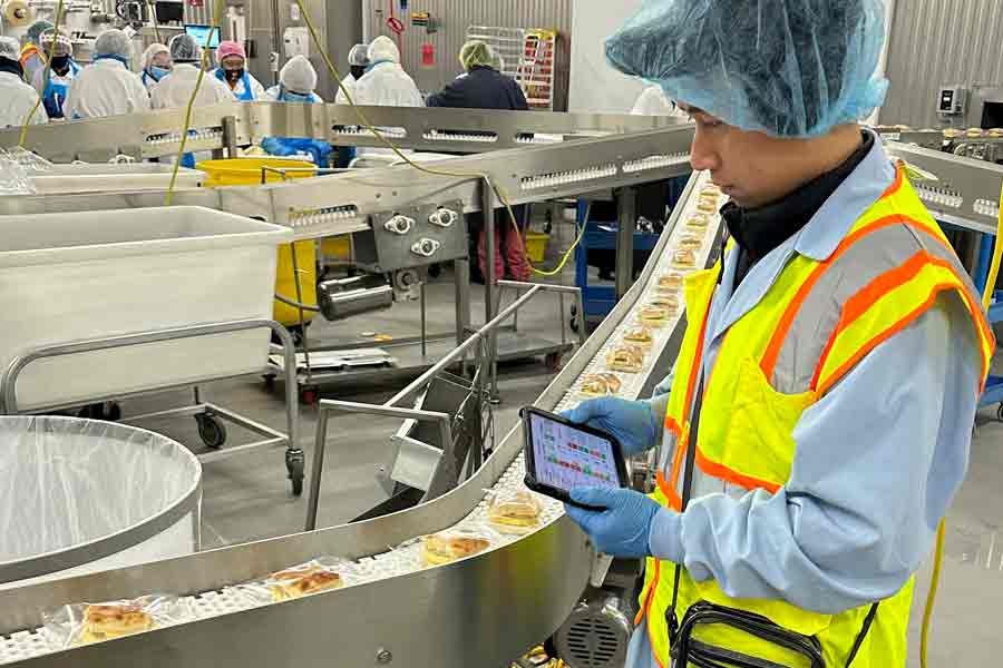 Food Safety & Quality